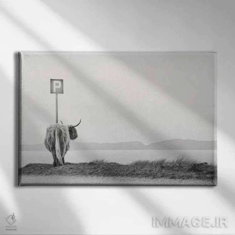 تابلو مهمان کوهستان اثر دوریت فوگ - نمای روبهرو روی دیوار