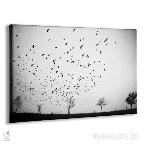 تابلو جایی (آلمانی: جای نامعلوم) اثر دوریت فوگ - نمای پرسپکتیو محصول