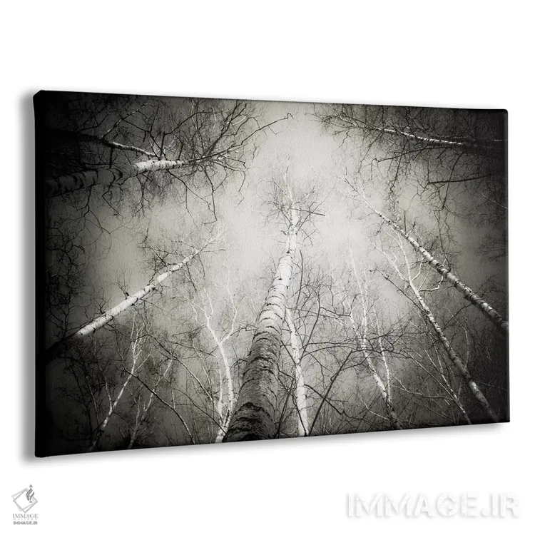 تابلو درون جنگل پنج اثر دوریت فوگ - نمای پرسپکتیو محصول