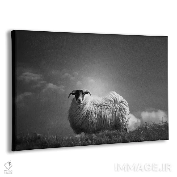 تابلو پشمآلود (واژه فرانسوی، به اشاره به نرمی یا پشمالویی) اثر دوریت فوگ - نمای پرسپکتیو محصول