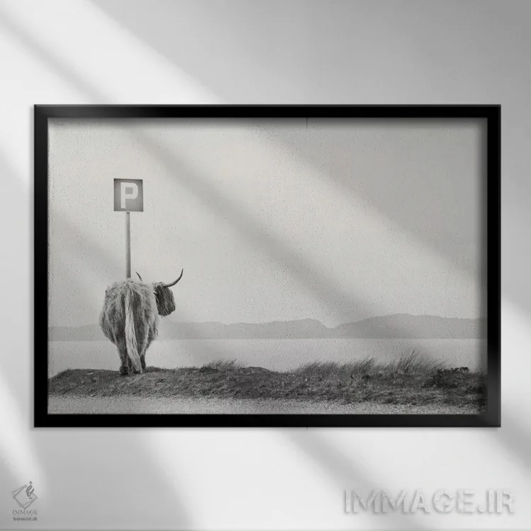 تابلو مهمان کوهستان اثر دوریت فوگ - نمای قابدار مشکی