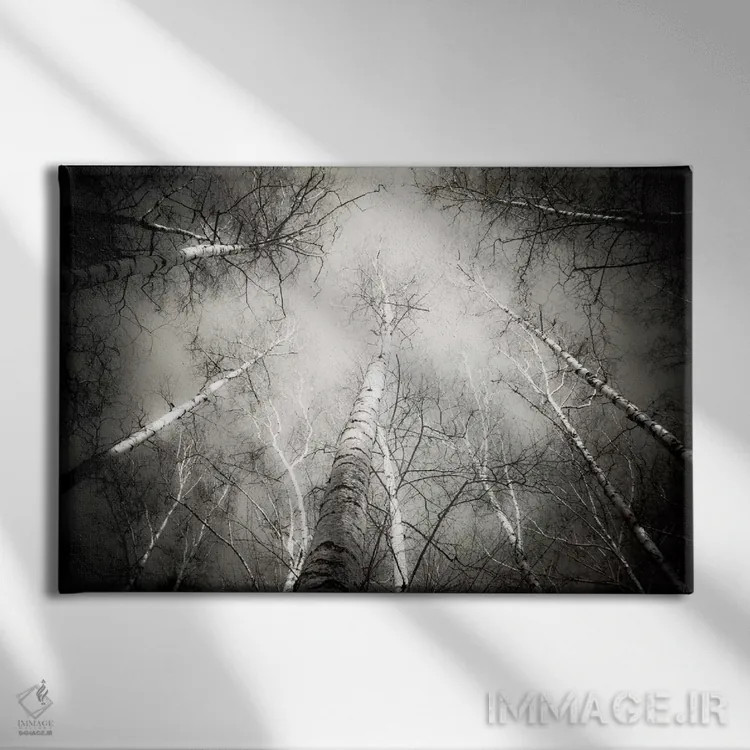 تابلو درون جنگل پنج اثر دوریت فوگ - نمای روبهرو روی دیوار