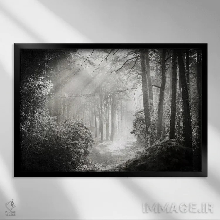 تابلو درون جنگل دو اثر دوریت فوگ - نمای قابدار مشکی