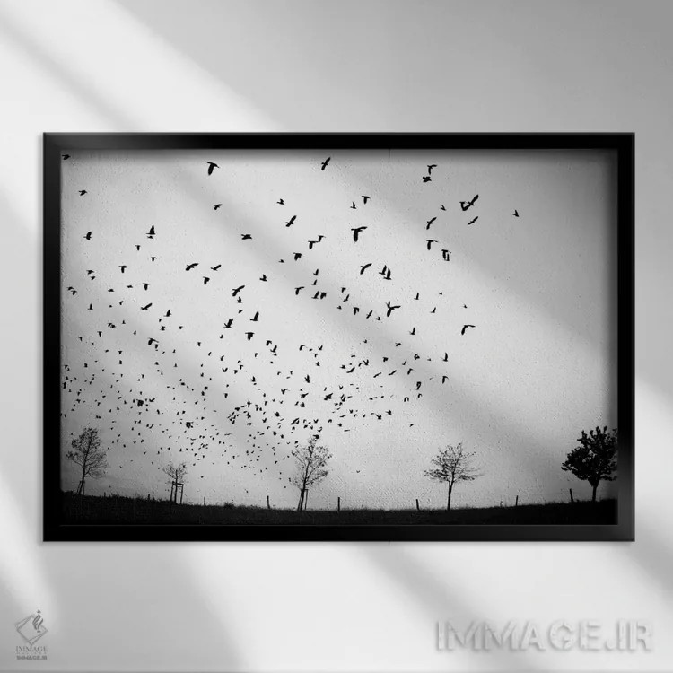 تابلو جایی (آلمانی: جای نامعلوم) اثر دوریت فوگ - نمای قابدار مشکی