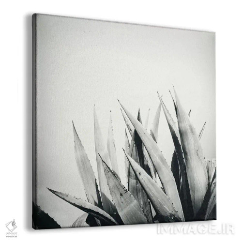 تابلو آگاو (گیاه) اثر دوریت فوگ - نمای پرسپکتیو محصول
