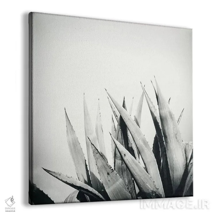تابلو آگاو (گیاه) اثر دوریت فوگ - نمای پرسپکتیو محصول