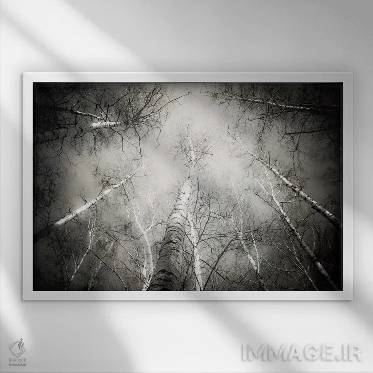 تابلو درون جنگل پنج اثر دوریت فوگ - نمای قابدار سفید