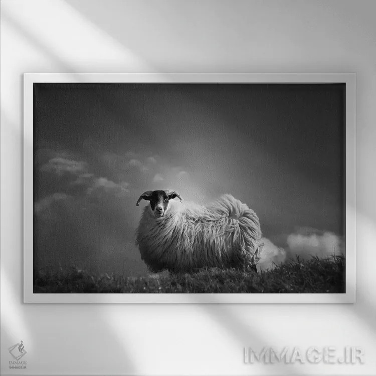 تابلو پشمآلود (واژه فرانسوی، به اشاره به نرمی یا پشمالویی) اثر دوریت فوگ - نمای قابدار سفید
