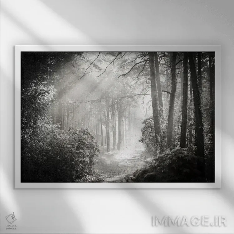 تابلو درون جنگل دو اثر دوریت فوگ - نمای قابدار سفید