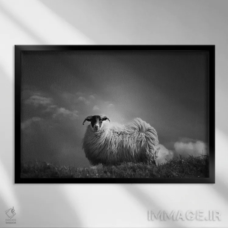 تابلو پشمآلود (واژه فرانسوی، به اشاره به نرمی یا پشمالویی) اثر دوریت فوگ - نمای قابدار مشکی