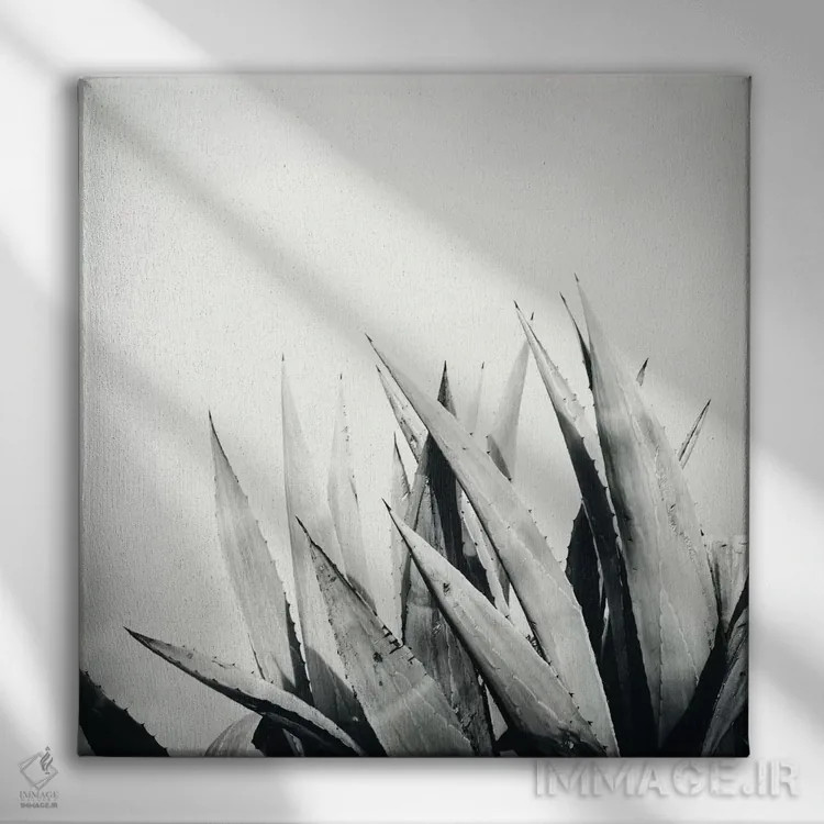 تابلو آگاو (گیاه) اثر دوریت فوگ - نمای روبهرو روی دیوار
