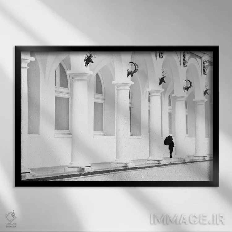 تابلو کلر (نام) اثر دوریت فوگ - نمای قابدار مشکی