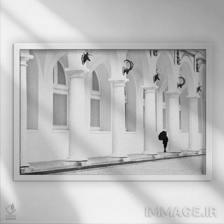 تابلو کلر (نام) اثر دوریت فوگ - نمای قابدار سفید