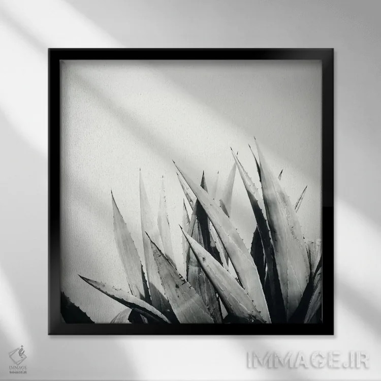 تابلو آگاو (گیاه) اثر دوریت فوگ - نمای قابدار مشکی