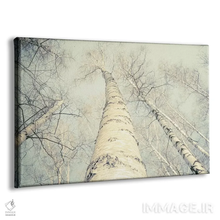 تابلو درختان توس دو اثر دوریت فوگ - نمای پرسپکتیو محصول