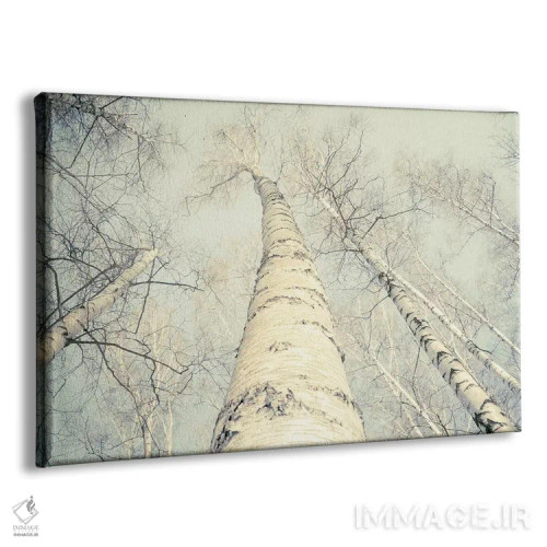 تابلو درختان توس دو اثر دوریت فوگ - نمای پرسپکتیو محصول