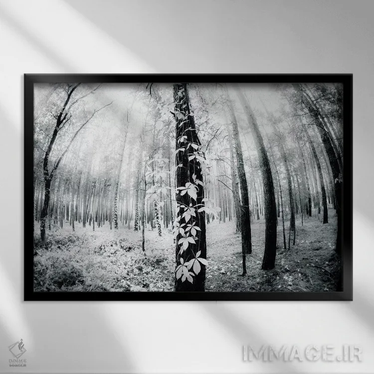 تابلو مابین اثر دوریت فوگ - نمای قابدار مشکی