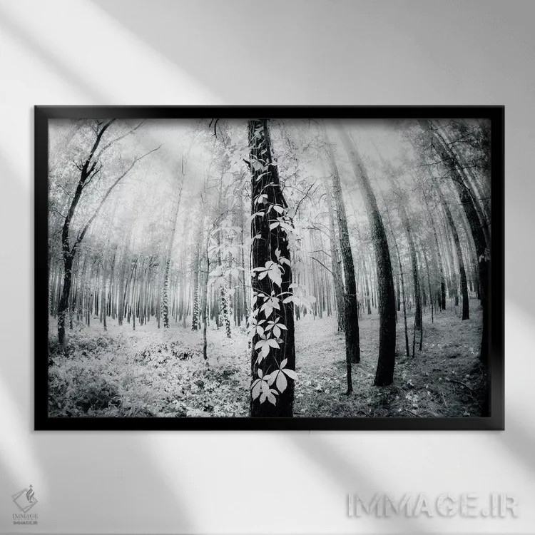 تابلو مابین اثر دوریت فوگ - نمای قابدار مشکی