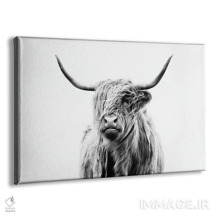 تابلو پرتره گاو کوهستانی اثر دوریت فوگ - نمای پرسپکتیو محصول