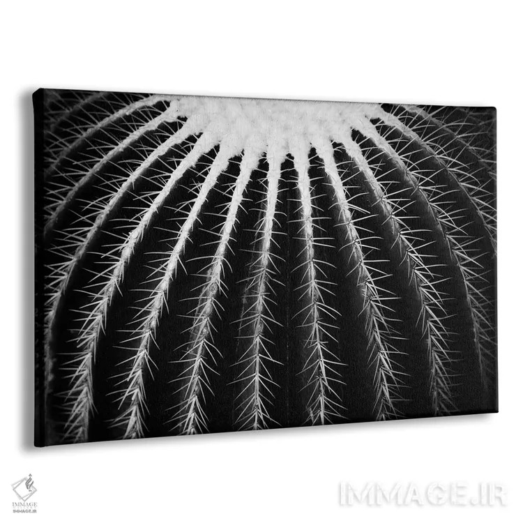 تابلو نمیتونی به این دست بزنی دو اثر دوریت فوگ - نمای پرسپکتیو محصول