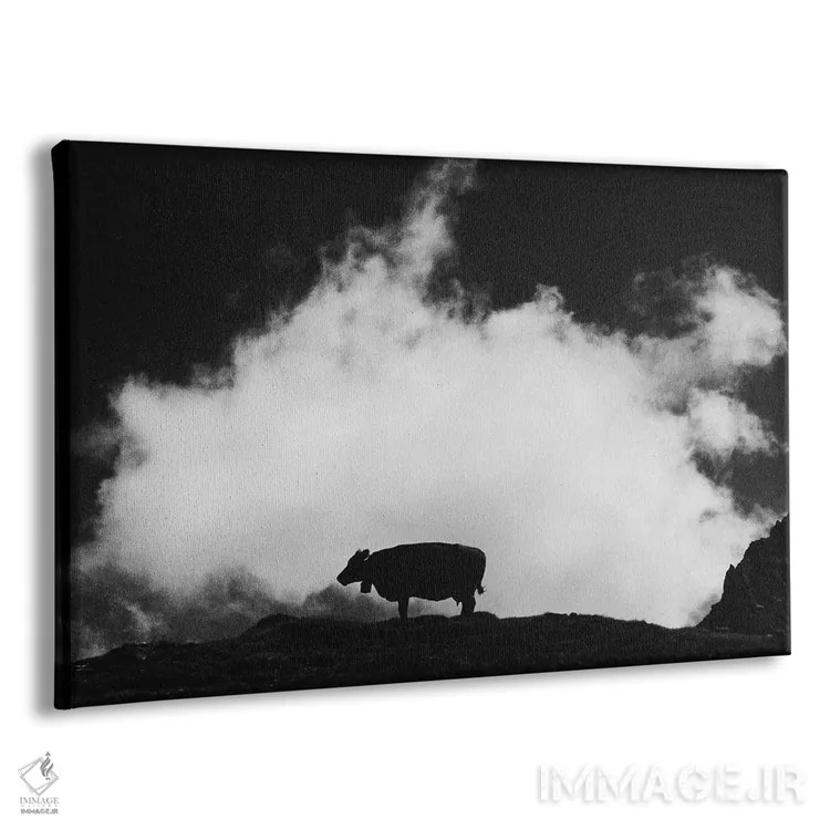 تابلو گاو و ابر اثر دوریت فوگ - نمای پرسپکتیو محصول