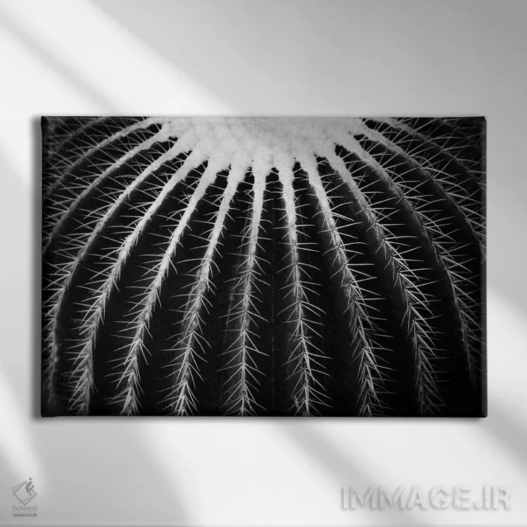 تابلو نمیتونی به این دست بزنی دو اثر دوریت فوگ - نمای روبهرو روی دیوار