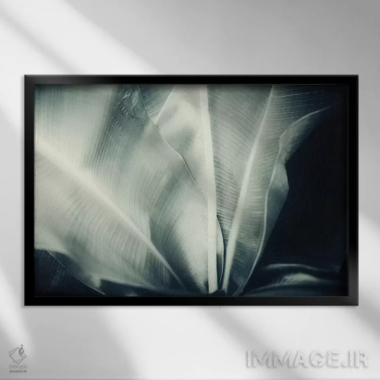 تابلو گیاهشناسی یک اثر دوریت فوگ - نمای قابدار مشکی