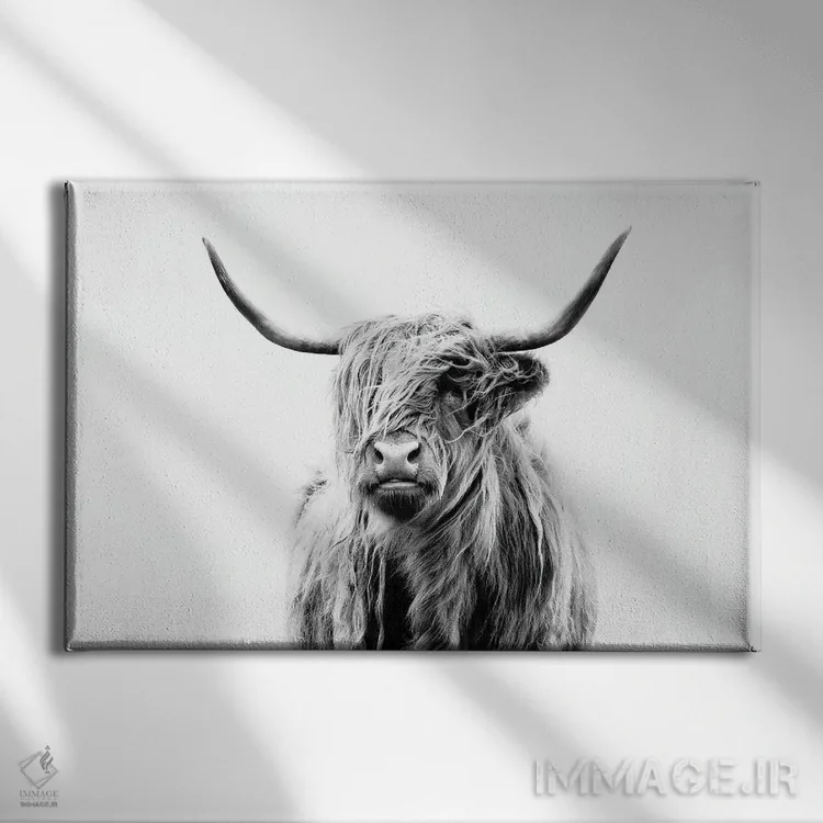 تابلو پرتره گاو کوهستانی اثر دوریت فوگ - نمای روبهرو روی دیوار