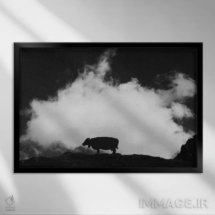 تابلو گاو و ابر اثر دوریت فوگ - نمای قابدار مشکی