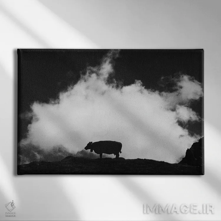 تابلو گاو و ابر اثر دوریت فوگ - نمای روبهرو روی دیوار