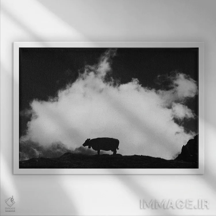 تابلو گاو و ابر اثر دوریت فوگ - نمای قابدار سفید