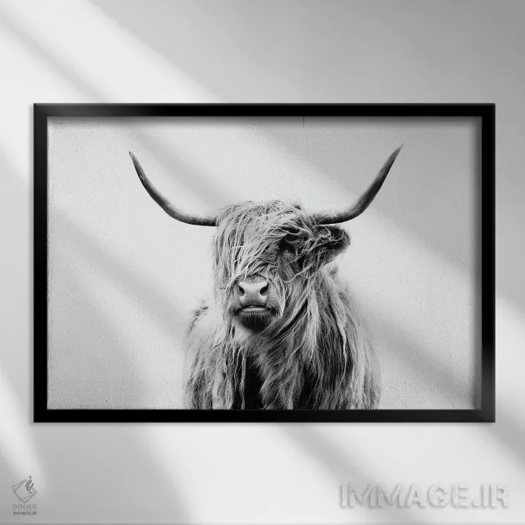 تابلو پرتره گاو کوهستانی اثر دوریت فوگ - نمای قابدار مشکی