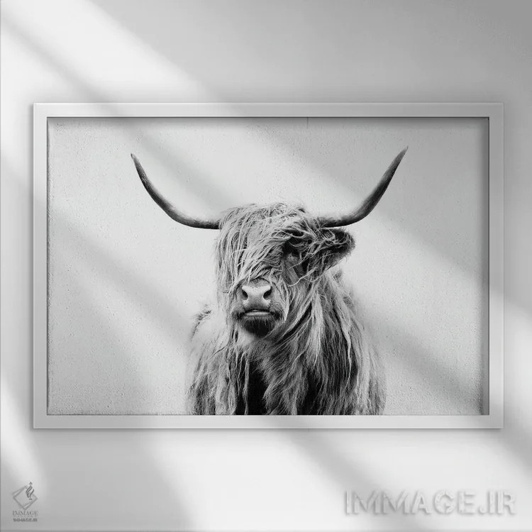تابلو پرتره گاو کوهستانی اثر دوریت فوگ - نمای قابدار سفید