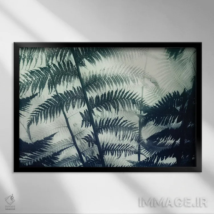 تابلو گیاهشناسی دو اثر دوریت فوگ - نمای قابدار مشکی