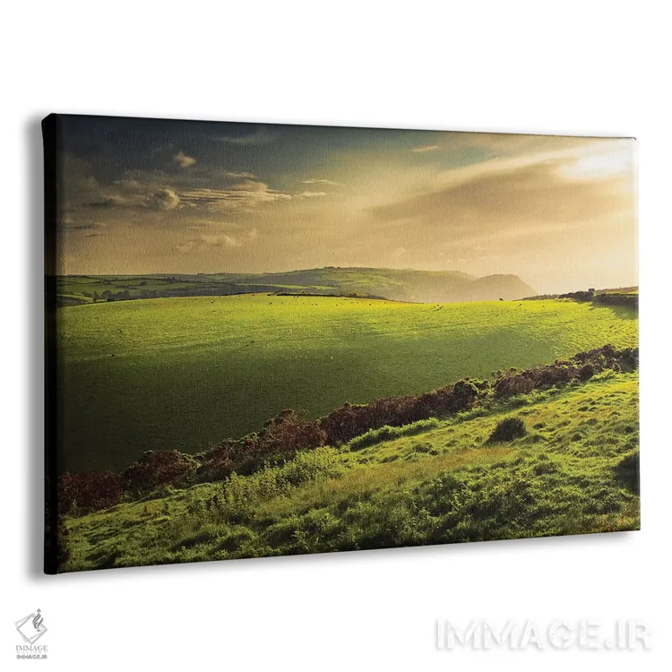 تابلو منظره شبانه روشن اثر دوریت فوگ - نمای پرسپکتیو محصول