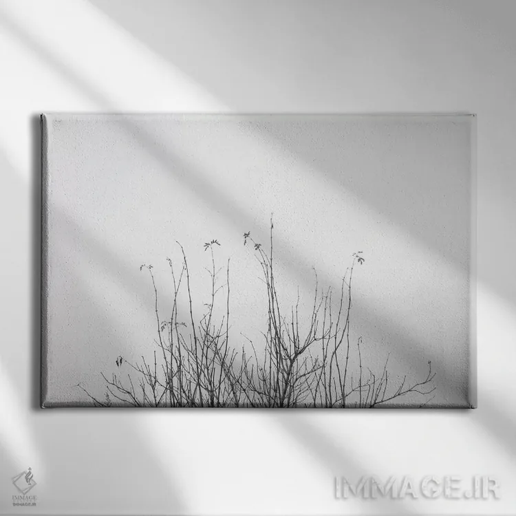 تابلو شاید اثر دوریت فوگ - نمای روبهرو روی دیوار