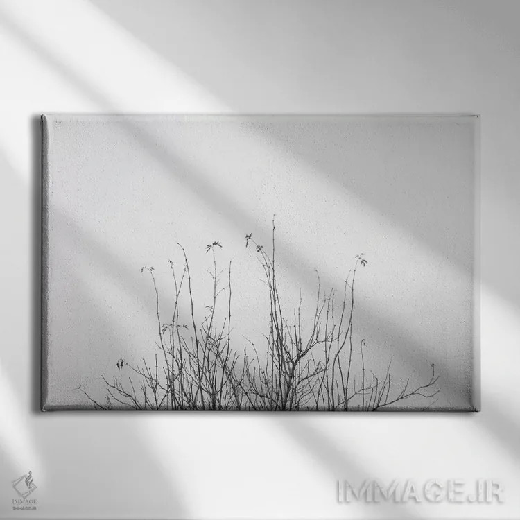 تابلو شاید اثر دوریت فوگ - نمای روبهرو روی دیوار
