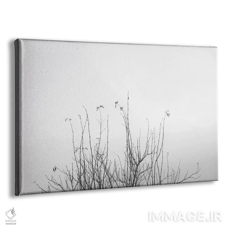 تابلو شاید اثر دوریت فوگ - نمای پرسپکتیو محصول