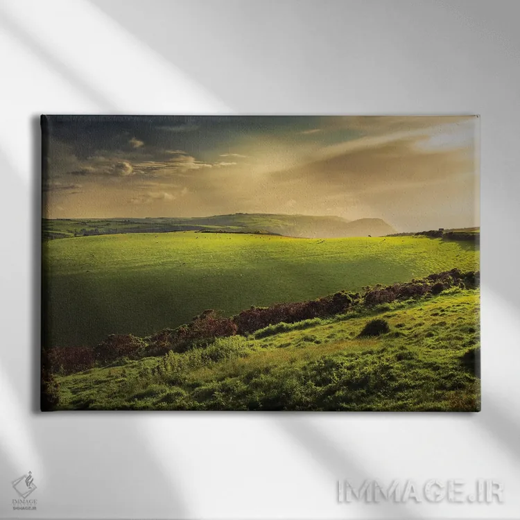 تابلو منظره شبانه روشن اثر دوریت فوگ - نمای روبهرو روی دیوار