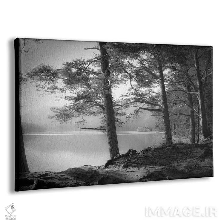 تابلو لاک آن ایلین (دریاچه در اسکاتلند) اثر دوریت فوگ - نمای پرسپکتیو محصول