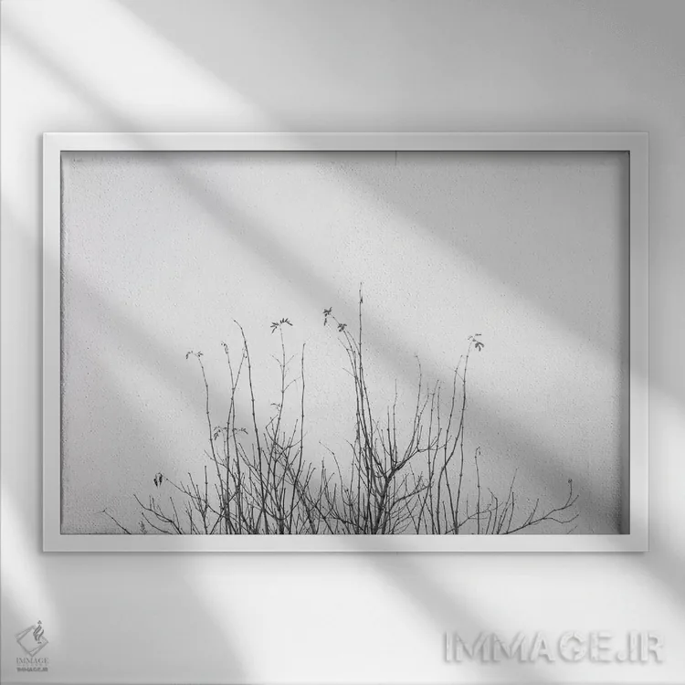 تابلو شاید اثر دوریت فوگ - نمای قابدار سفید