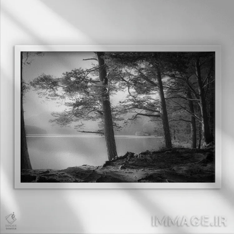 تابلو لاک آن ایلین (دریاچه در اسکاتلند) اثر دوریت فوگ - نمای قابدار سفید