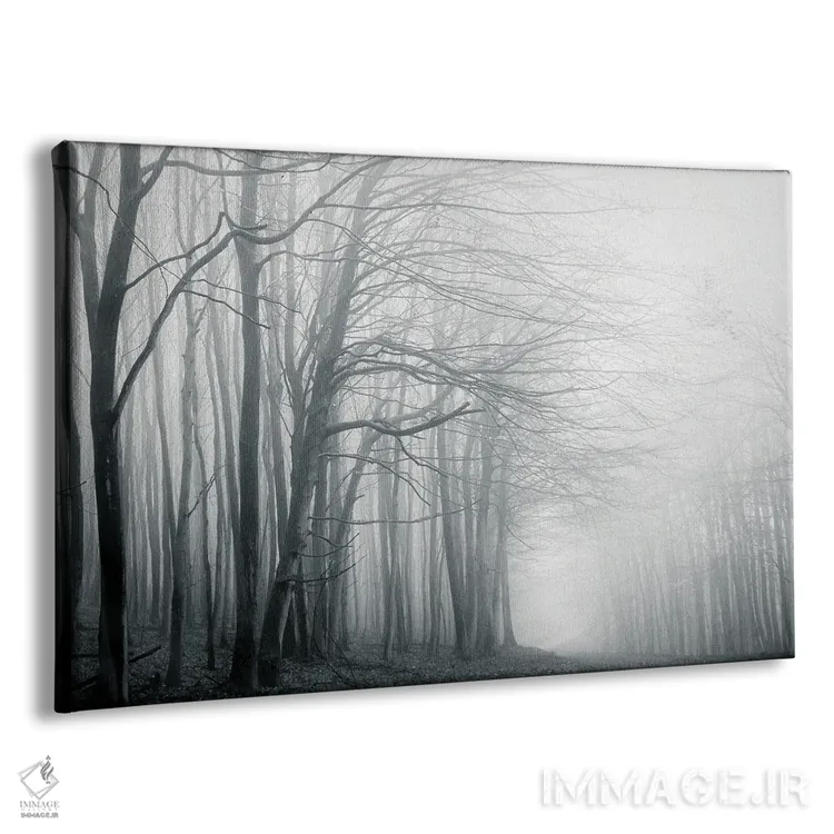 تابلو مسیر مهآلود جنگل اثر دوریت فوگ - نمای پرسپکتیو محصول