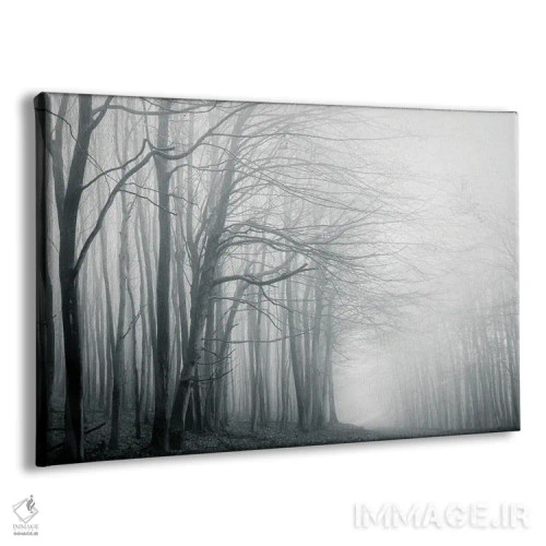 تابلو مسیر مهآلود جنگل اثر دوریت فوگ - نمای پرسپکتیو محصول