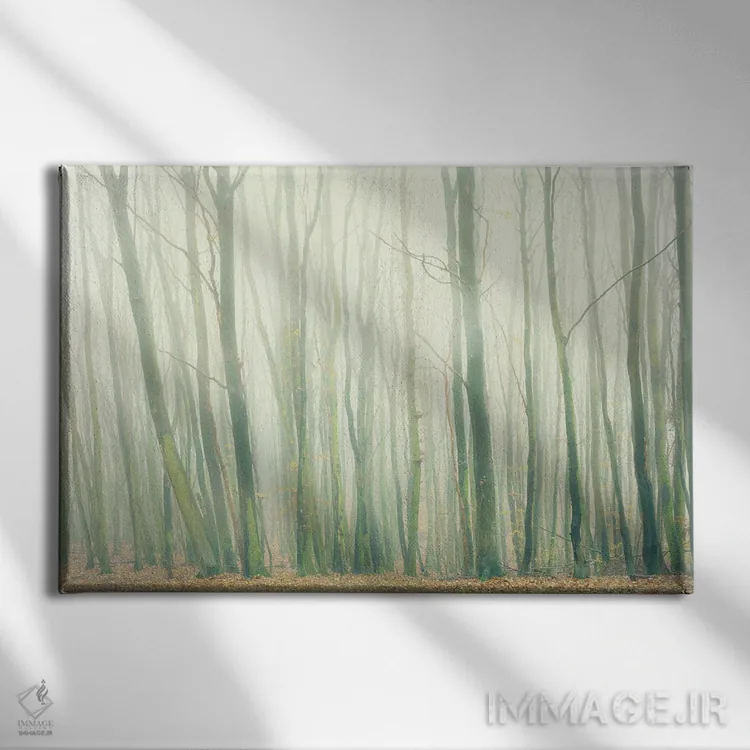 تابلو مه در جنگل اثر دوریت فوگ - نمای روبهرو روی دیوار