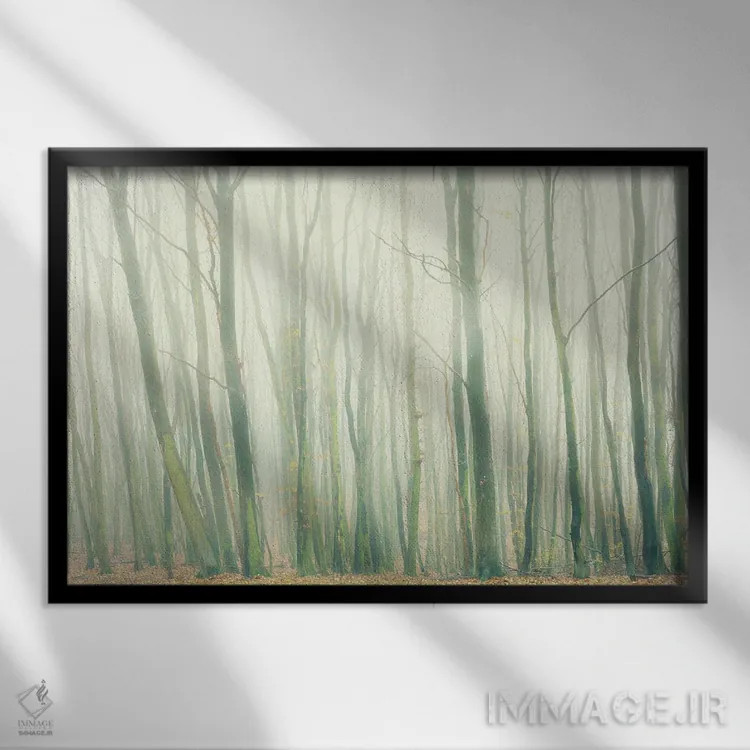تابلو مه در جنگل اثر دوریت فوگ - نمای قابدار مشکی