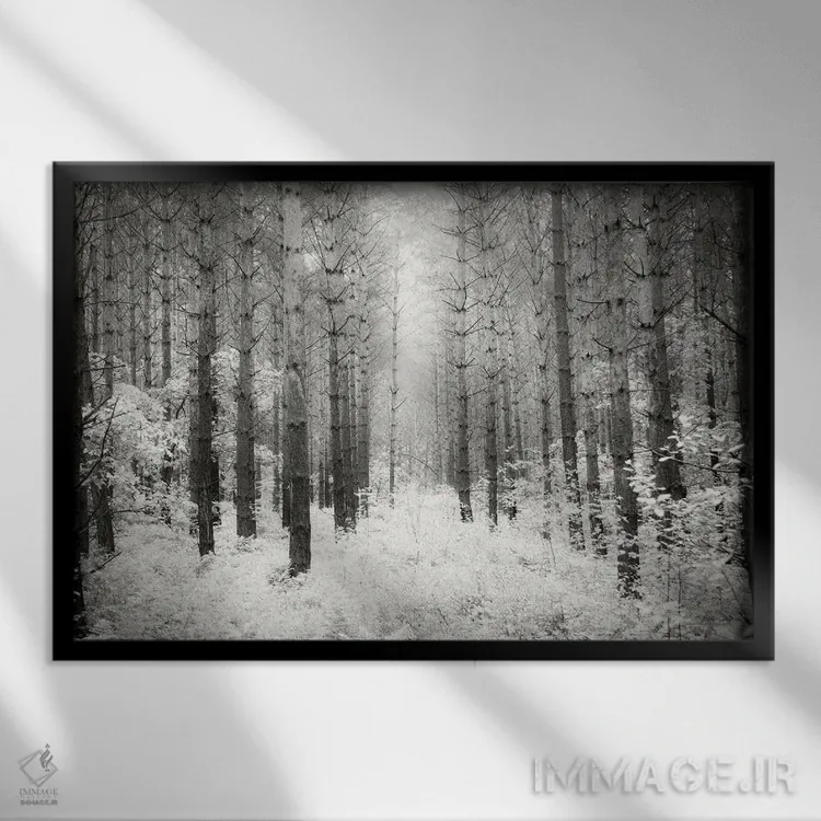 تابلو به سوی جنگل ۳ اثر دوریت فوگ - نمای قابدار مشکی