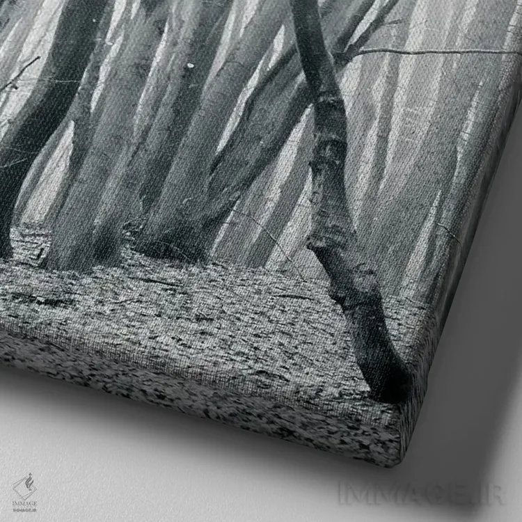 تابلو مه در جنگل ۲ اثر دوریت فوگ - نمای نزدیک بافت بوم