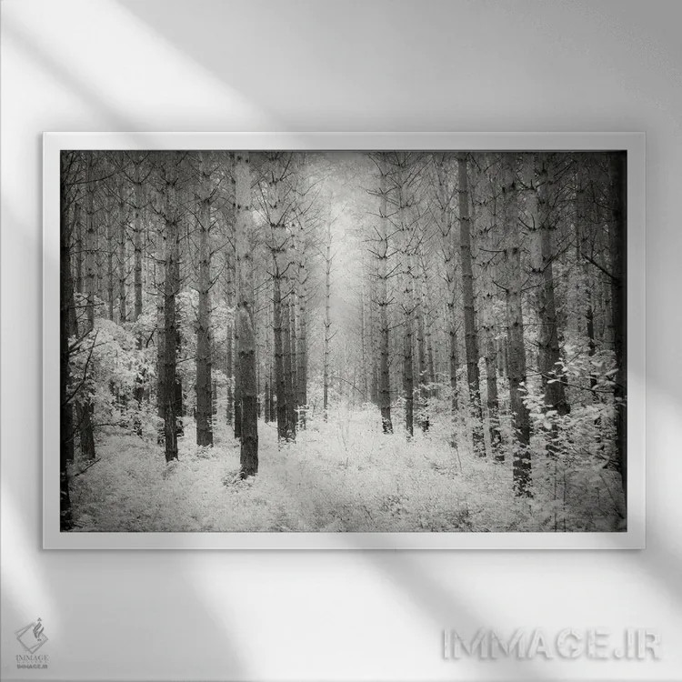 تابلو به سوی جنگل ۳ اثر دوریت فوگ - نمای قابدار سفید