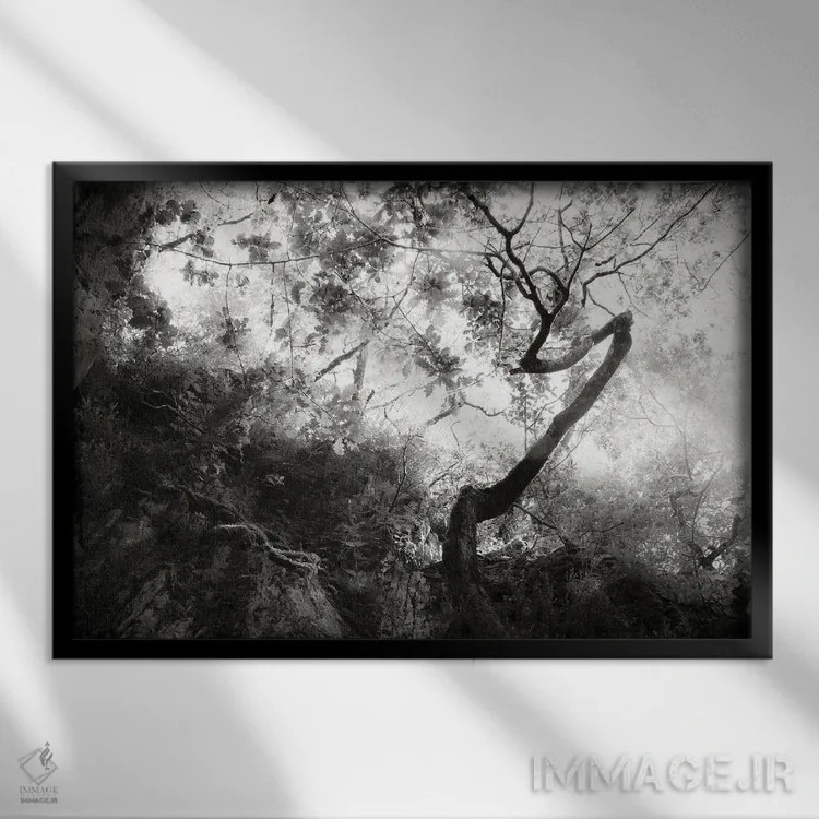 تابلو فراموشی اثر دوریت فوگ - نمای قابدار مشکی